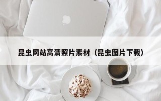 温岭昆虫网站高清照片素材(昆虫图片下载) 温岭昆虫网站高清照片素材(昆虫图片下载)